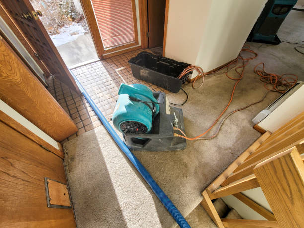 Best Water damage restoration near me  in Six Mile Run, NJ