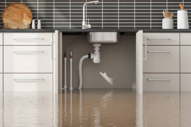 Best Commercial water damage restoration  in Six Mile Run, NJ